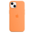 Silicone Case Original With MagSafe and Splash Screen Apple iPhone 13