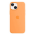 Silicone Case Original With MagSafe and Splash Screen Apple iPhone 13 Mini